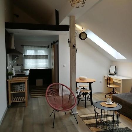 Apartmán Studio Apartman Hana Drežnik Grad Exteriér fotografie
