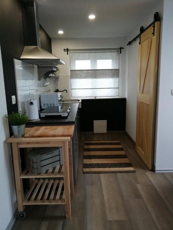 Apartmán Studio Apartman Hana Drežnik Grad Exteriér fotografie