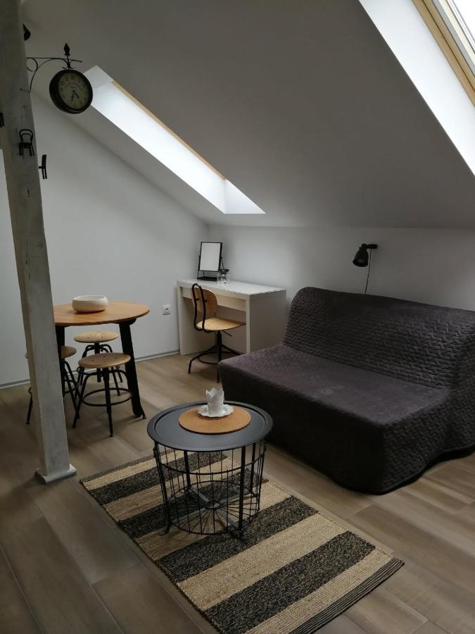 Apartmán Studio Apartman Hana Drežnik Grad Exteriér fotografie