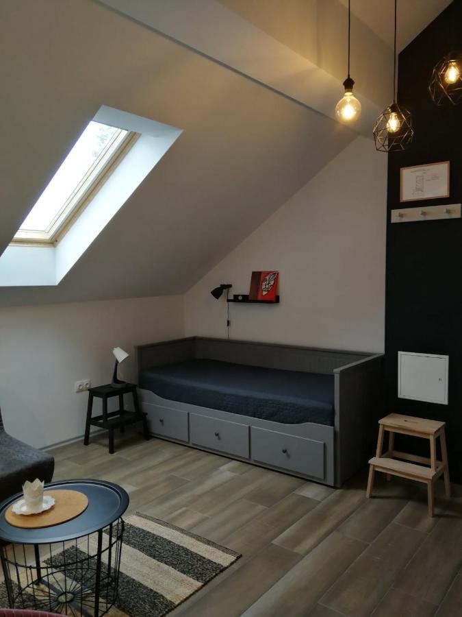 Apartmán Studio Apartman Hana Drežnik Grad Exteriér fotografie