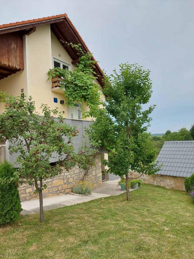 Apartmán Studio Apartman Hana Drežnik Grad Exteriér fotografie